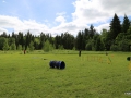 2014-06-01 14.44.26