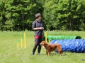 2014-06-01 12.41.45